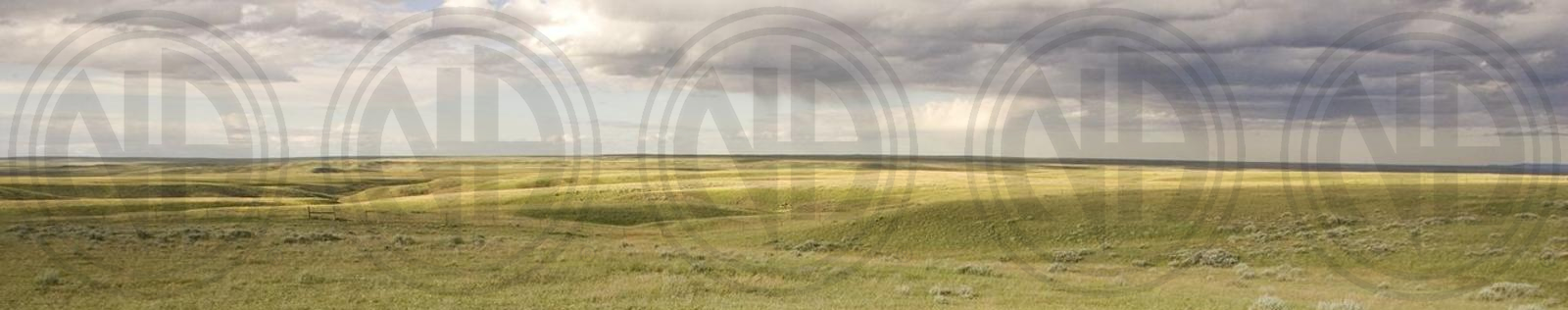 <H5>Formation Meeting @ SMRCNA Kansas City, Missouri